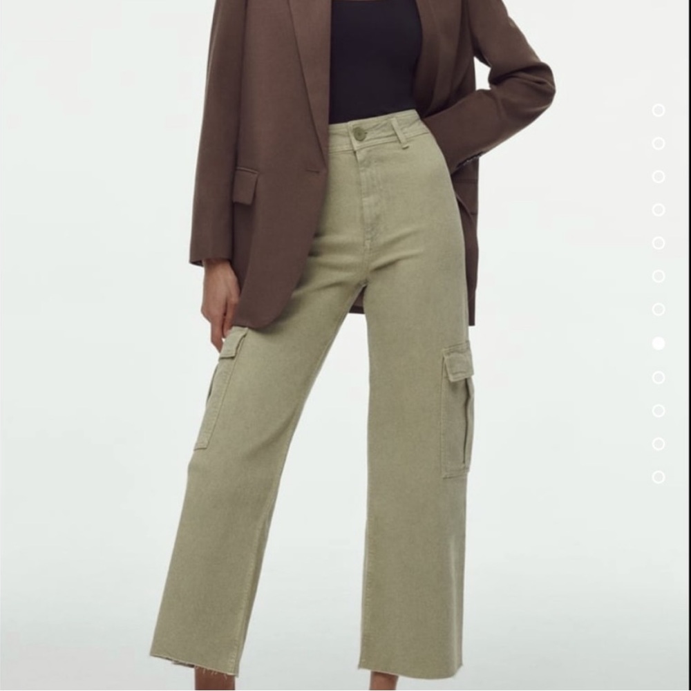 Zara marine cargo pants